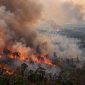 Kebakaran Hutan dan Lahan. Foto: Ist.