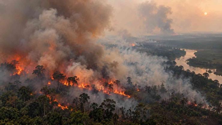 Kebakaran Hutan dan Lahan. Foto: Ist.