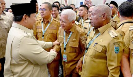 Wagub Sumut Surya