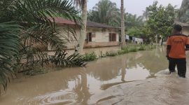 Banjir merendam permukiman warga di Kampung Rendahan, Kecamatan Bosar Maligas, Kabupaten Simalungun, Sumatera Utara, akibat luapan Sungai Parpayakan dan Sungai Sordang setelah hujan berintensitas tinggi selama beberapa hari. Bencana ini berdampak pada 128 kepala keluarga dan 90 rumah warga. (Foto: BNPB)