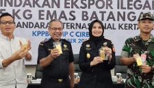 Petugas Bea Cukai Cirebon menampilkan barang bukti emas batangan 24 karat seberat 5 kg senilai Rp12 miliar yang diselundupkan lewat Bandara Kertajati, Selasa (6/10/2026). Dua tersangka diamankan, bea keluar yang dihindari Rp1,3 miliar. Foto: Ist.