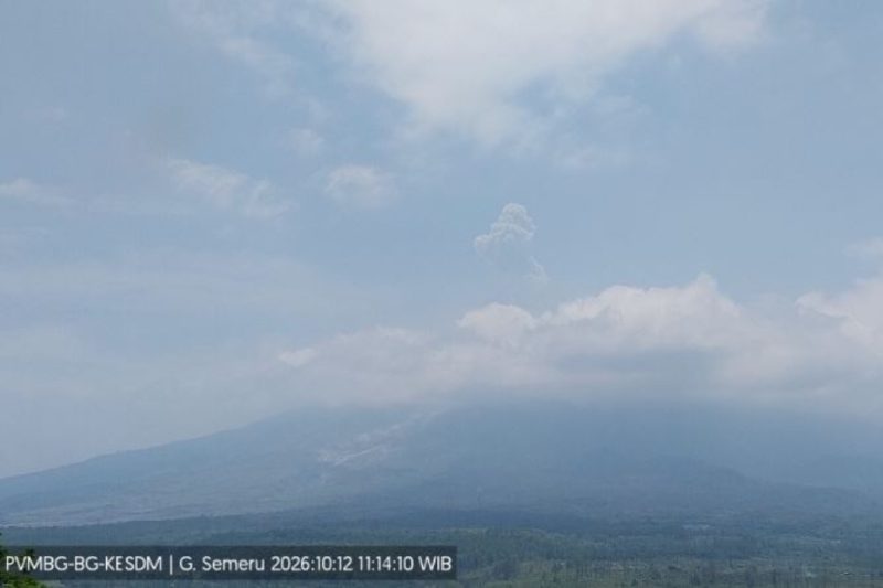 Gunung Semeru erupsi pada Senin (12/10/2026) pukul 11.13 WIB dengan kolom abu setinggi sekitar 900 meter di atas puncak dan mengarah ke barat daya. (Foto: PVMBG)