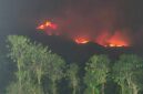 Kebakaran hutan dan lahan (karhutla). (Foto: BNPB)