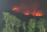 Kebakaran hutan dan lahan (karhutla). (Foto: BNPB)
