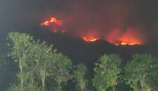 Kebakaran hutan dan lahan (karhutla). (Foto: BNPB)