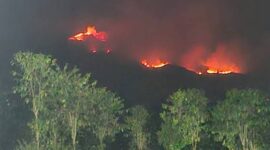 Kebakaran hutan dan lahan (karhutla). (Foto: BNPB)