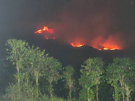 Kebakaran hutan dan lahan (karhutla). (Foto: BNPB)