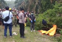 Petugas kepolisian dan tim inafis melakukan evakuasi serta olah Tempat Kejadian Perkara (TKP) lokasi ditemukannya jasad Muhammad Imran (33) di semak-semak area perkebunan kelapa sawit Desa Dadimulyo, Kisaran, Kabupaten Asahan. Foto: Ist.