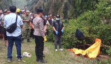 Petugas kepolisian dan tim inafis melakukan evakuasi serta olah Tempat Kejadian Perkara (TKP) lokasi ditemukannya jasad Muhammad Imran (33) di semak-semak area perkebunan kelapa sawit Desa Dadimulyo, Kisaran, Kabupaten Asahan. Foto: Ist.