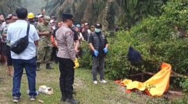 Petugas kepolisian dan tim inafis melakukan evakuasi serta olah Tempat Kejadian Perkara (TKP) lokasi ditemukannya jasad Muhammad Imran (33) di semak-semak area perkebunan kelapa sawit Desa Dadimulyo, Kisaran, Kabupaten Asahan. Foto: Ist.