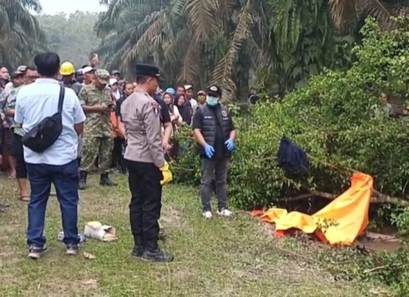 Petugas kepolisian dan tim inafis melakukan evakuasi serta olah Tempat Kejadian Perkara (TKP) lokasi ditemukannya jasad Muhammad Imran (33) di semak-semak area perkebunan kelapa sawit Desa Dadimulyo, Kisaran, Kabupaten Asahan. Foto: Ist.