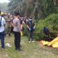 Petugas kepolisian dan tim inafis melakukan evakuasi serta olah Tempat Kejadian Perkara (TKP) lokasi ditemukannya jasad Muhammad Imran (33) di semak-semak area perkebunan kelapa sawit Desa Dadimulyo, Kisaran, Kabupaten Asahan. Foto: Ist.